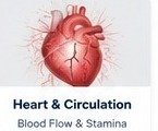 Heart & Circulation