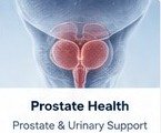 Prostate Health